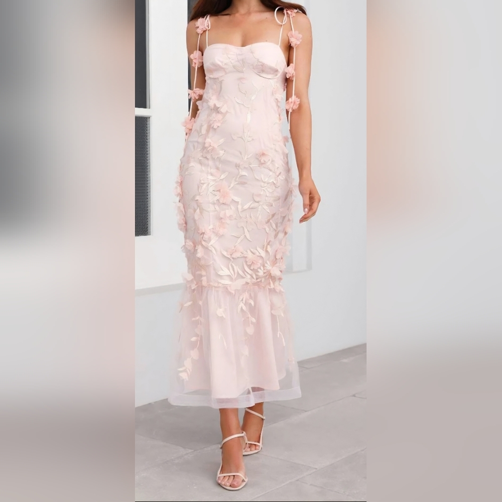 Hello Molly Enchanted Dream Floral Applique Delicately Embellished Dress- 6 NWT